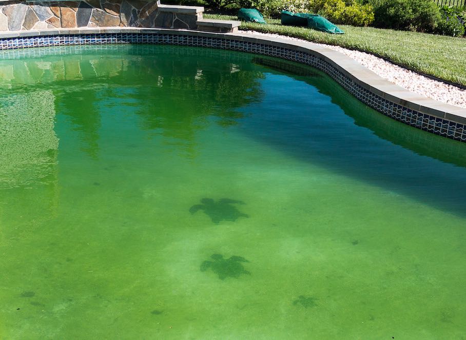 green water cloudy-water luxury pool memphis ogden pools